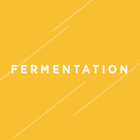 Fermentation