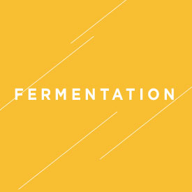 Fermentation